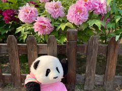 -莲花池公园