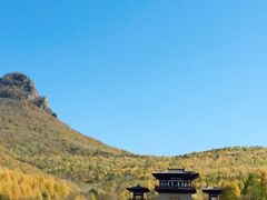 -帽儿山风景区
