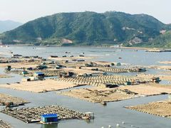 -北岐滩涂