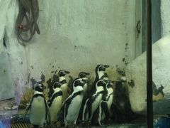 -太平洋海底世界