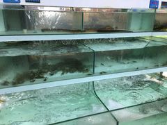 -盒马渔市餐厅