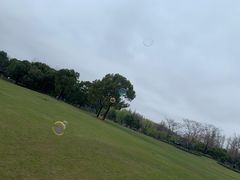 -上海滨江森林公园
