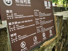 -都江堰中华大熊猫苑
