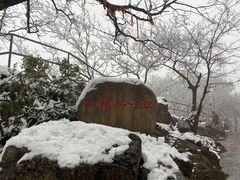 -紫金山山顶公园
