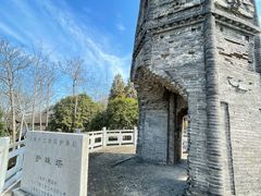 -上海佘山国家森林公园天马山园