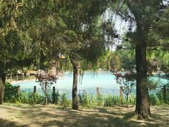 -南宫五洲植物乐园