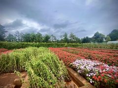 -昆明春城湖畔度假村