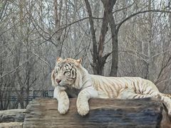 -秦皇岛野生动物园