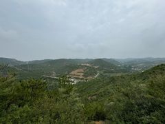-五龙城郊森林公园