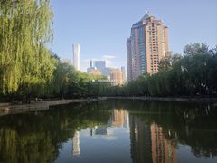 -团结湖公园