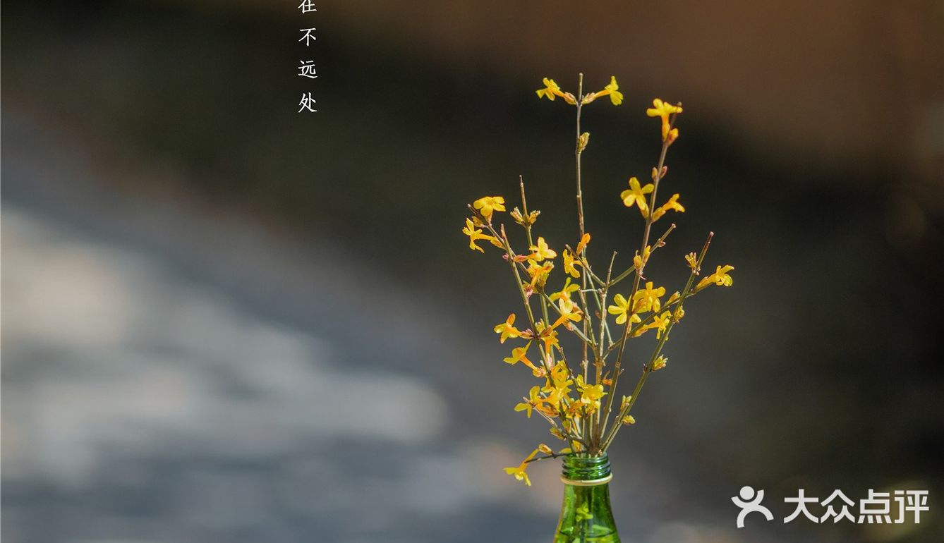 西安新晋赏花地——长安唐村