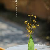 西安新晋赏花地——长安唐村