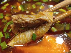 -刘胖娃鱼庄·特色鱼火锅(白鹤路店)