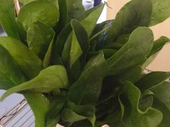 菠菜-台北吴记老锅底麻辣火锅(蓝村路店)