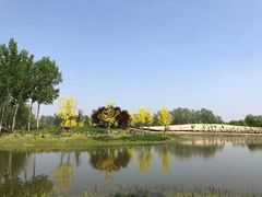 -东郊湿地公园