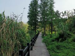 -映月湖中央公园