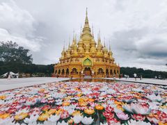 -西双版纳勐泐文化旅游区