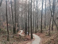 -波尔登森林公园