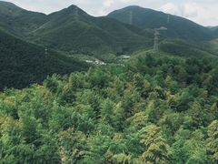-宁波浙东大竹海景区
