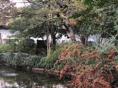 -秋霞圃