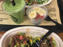 -油梨树 AVOCADO TREE(亮马桥店)