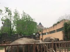-南昌动物园