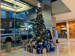 -上海大宁福朋喜来登酒店大堂吧(共和新路店)