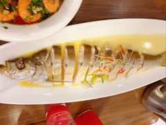 清蒸白鱼-锡和无锡菜(景丽苑店)