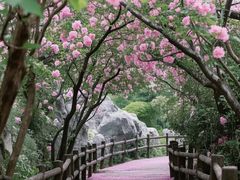 -凤凰汇购物中心