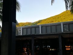 -半山半岛洲际度假酒店·观海廊