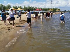 -呼兰河口湿地公园