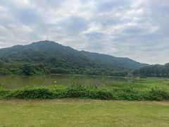 -风云岭森林公园