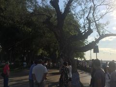 -人民防洪胜利纪念塔