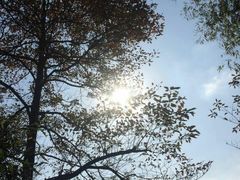 -会稽山峡洞漂流-上青古道