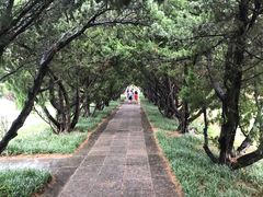 -洛阳古墓博物馆