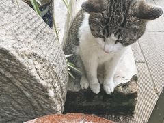 -又合书舍