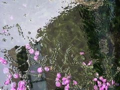 -泉乐坊步行街(烟酒特产平价超市店)