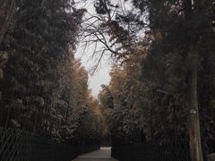 -红螺寺