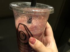 -油梨树AVOCADO TREE(望京店)