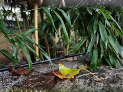 -西安关中民俗艺术博物院