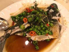 鲜花椒蒸草鲩-中山国际酒店中餐厅