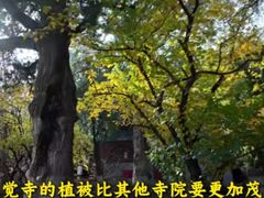 -回龙观体育文化公园