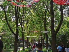 -溱湖国家湿地公园