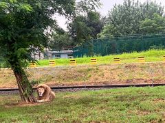 -秦皇岛野生动物园