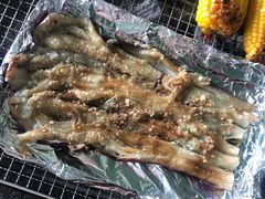 -会江钓鱼钓虾烧烤场