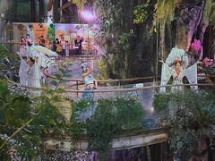 -正佳雨林生态植物园