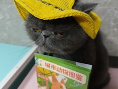 -瑞虹新天地月亮湾