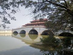 -大湾区中央湿地公园