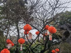 -镇江市南山风景名胜区竹林景区