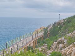 -广东惠东海龟国家级自然保护区